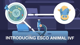 In vitro Fertilization IVF in Animals  Esco Medical [upl. by Mitchell]