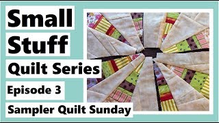 Small Stuff Quilt Series Ep3  Attempting a Flower Block  Sampler Quilt Sunday [upl. by Greenlee]