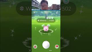 50 Shiny Pokemon Encounters for Pokemon GO Fest shorts [upl. by Silsbye]