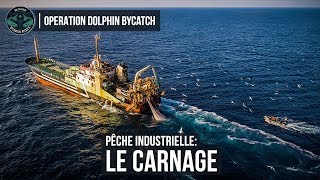 Le carnage de la pêche industrielle  Sea Shepherd [upl. by Yerffoeg]