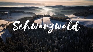 Die Highlights des Schwarzwald im Winter  The highlights of the Black Forest in wintertime [upl. by Yhtuv]