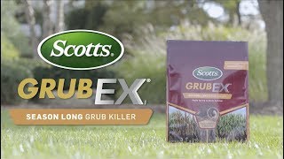 How to Kill and Prevent Grubs Using Scotts® GrubEx® [upl. by Arrej]