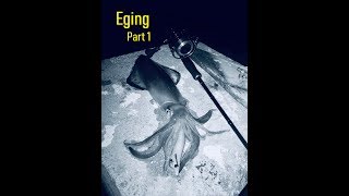 Ψάρεμα καλαμαριών από την ακτή με eging Eging fishing part 1 [upl. by Felt]