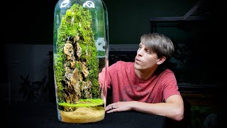 Giant Moss Dripwall Terrarium with a Pond [upl. by Aikim]