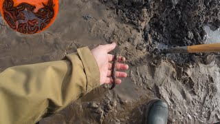 Digging lugworm for cod fishing [upl. by Ekle]