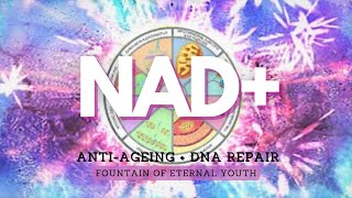 ❋ Powerful NAD  AntiAgeing  DNA Repair  Fountain of Eternal Youth  Gentle Rain Sounds [upl. by Einwahs373]