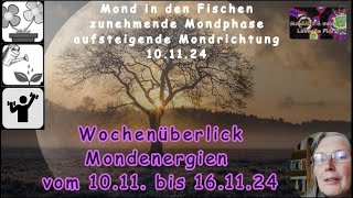 Wochenüberblick der Mondenergien vom 1011 bis 161124 [upl. by Macfarlane]