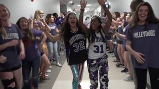 2017 Fayetteville High School Lip Dub [upl. by Adnir]