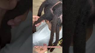 Dreads transformation reattachment wicks dreadsjourney locs hairstyle dreadlocks [upl. by Waldon]