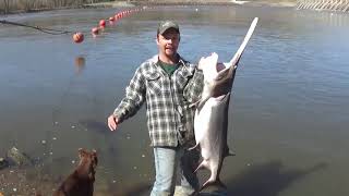 Snagging Spoonbill Fort Gibson Dam in Oklahoma [upl. by Nahs]