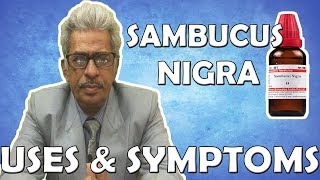 Sambucus Nigra  Uses and Symptoms in Homeopathy by Dr PS Tiwari [upl. by Louls440]