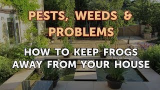 How to Keep Frogs Away From Your House [upl. by Xylon]