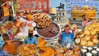 Amritsar Street Food Under Rs20 Only  Kulcha Chole Bhature Chole Pakoda  Amritsar Walking Tour [upl. by Eltrym]