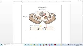 7 Patient Controlled Analgesia [upl. by Tulley]