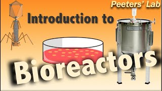 Introduction to bioreactors [upl. by Sussna418]