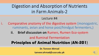 Lecture4Comparative anatomy of the digestive systemLecture Series in Animal Nutrition [upl. by Naaman]