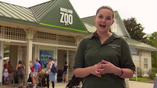 Field Trip to the Maryland Zoo PreVisit Video Middle and High School [upl. by Mose746]