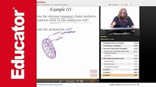 “Microbial Metabolism”  Microbiology with Educatorcom [upl. by Mackenzie]