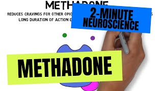 2Minute Neuroscience Methadone [upl. by Yv]