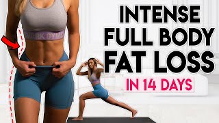 INTENSE FULL BODY FAT LOSS in 14 Days no jumping  10 min Workout [upl. by Terrence]