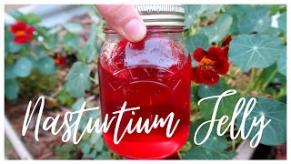 Nasturtium Jelly Recipe  Super Easy Flower Jelly [upl. by Krefetz]