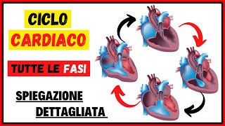 Tutte le fasi dettagliate del ciclo cardiaco Sistole e Diastole [upl. by Aivizt649]