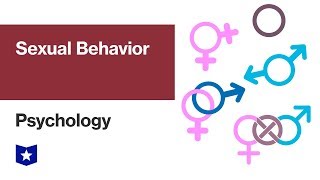 Sexual Behavior  Psychology [upl. by Casaleggio904]