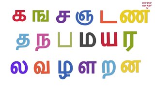 Tamil uyirmei ezhuthukkal  தமிழ் உயிர்மெய் எழுத்துக்கள்  க ங ச ஞ பாடல்  Tamil alphabets amp rhymes [upl. by Daggett133]