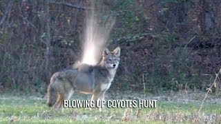 Blowing Up Coyotes Hunt [upl. by Ahders]