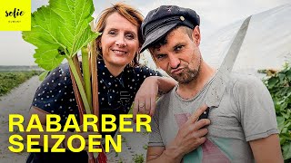 Hoe rabarber oogsten  Groenten tips met boer Tijs  Sofie Dumont [upl. by Esenaj]