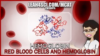 Hemoglobin Oxygen Binding and Red Blood Cells MCAT tutorial Part 1 [upl. by Kylstra]