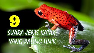 9 Suara Jenis Katak yang Paling Unik [upl. by Lyndsie]