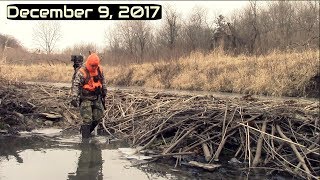 Shotgun Hunting Public Land  The Nightmare Unit  Iowa Vlog 39 [upl. by Nonez]