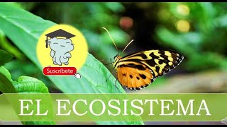 EL ECOSISTEMA [upl. by Acila]