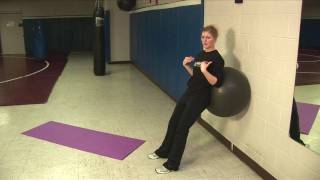 Stability Ball Wall Squat [upl. by Aimal]