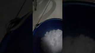 Chemical Demonstrations Dry Ice Sublimation [upl. by Analah]