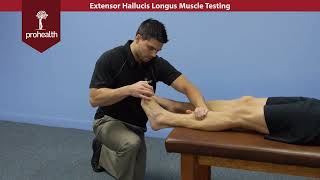 Extensor Hallucis Longus Muscle Test Palp Dr VIzniak Muscle Manual [upl. by Docia]