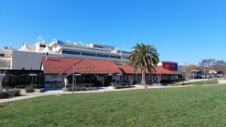 Day racing at Moonee Valley racecourse 🐎 [upl. by Aletta639]