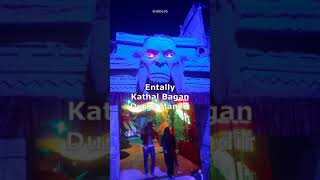 Entally durga puja shorts 2024 dsbe36 tourism trending shortsvideo yt shorts shortvideo [upl. by Allez]