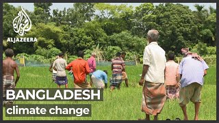 Bangladeshs food supply is threatened by climate change [upl. by Los]