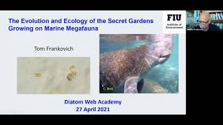 Thomas Frankovich  Secret Diatom Gardens [upl. by Airdni232]