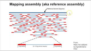 Genome Assembly  Overview Part 1 [upl. by Aicel]