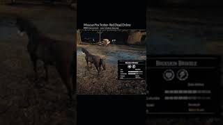 RDR2 • All Missouri Fox Trotter Horse Colors and Locations • Red Dead Redemption 2 [upl. by Nosnevets675]