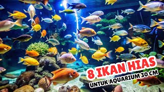 8 Jenis ikan hias air tawar yang cocok untuk aquarium ukuran 30 cm [upl. by Coy]