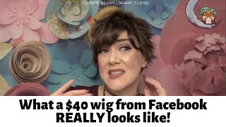 BUYER BEWARE What a 40 wig from Facebook looks like in real life  Public Service Announcement [upl. by Giamo923]