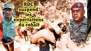 Pourquoi la RDC a suspendu les exportations de cobalt [upl. by Sams]