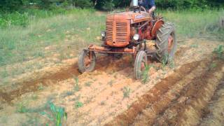 Farmall super A cultivating corn [upl. by Elohcin]