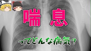 【ゆっくり解説】命に関わる！？ 喘息ってどんな病気？【医学】 [upl. by Baniez541]