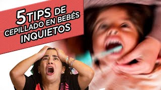 Bebés Inquietos 5 TIPS para Cepillar Dientes [upl. by Rather]