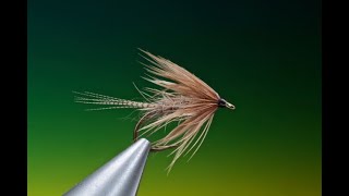 Fly Tying a Hares Ear soft hackle wet fly with Barry Ord Clarke [upl. by Ynotna579]